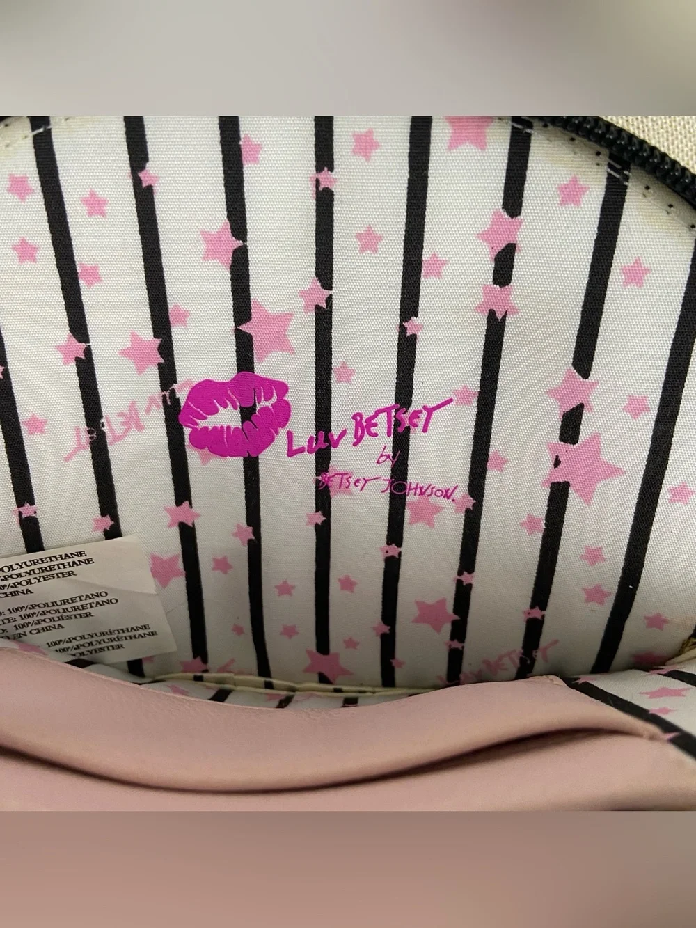 Betsey Johnson Luv Kitty Cat Kitten Small Stripe Bag Wristlet Wallet Coin Purse